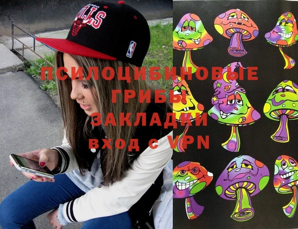 винт Алексеевка