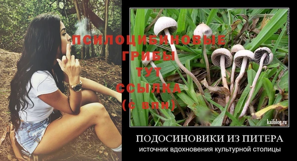 круглые Абаза