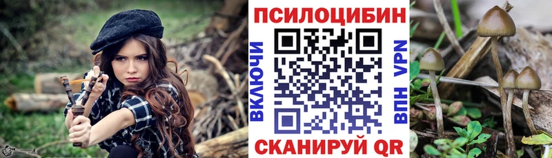 Псилоцибиновые грибы Psilocybine cubensis Алагир