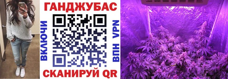 Шишки марихуана гибрид  Алагир 